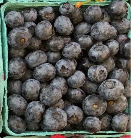 Bulk Blueberries